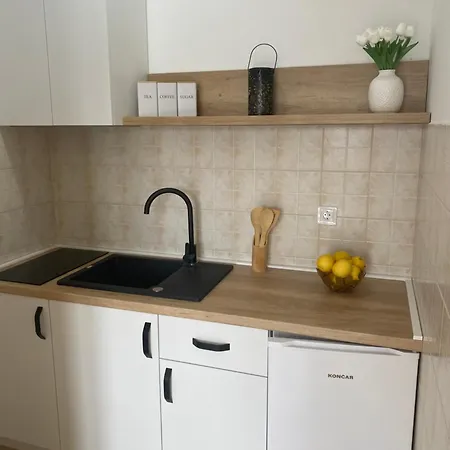 Apartment Gera *